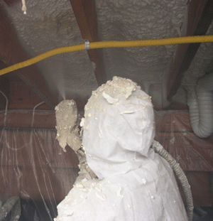 San Francisco CA crawl space insulation